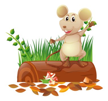 Log üzerinde küçük fare