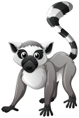 Lemur gri kürk ile