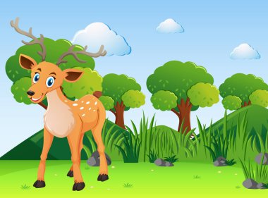 ormandaki küçük geyik