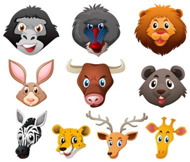 Farklı türde vahşi hayvanlar