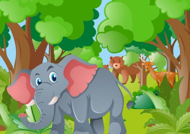 Ormandaki vahşi hayvanlar