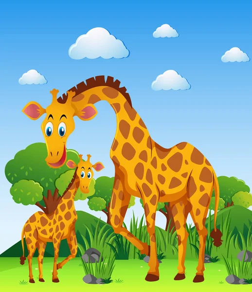 Deux girafes sur le terrain — Image vectorielle