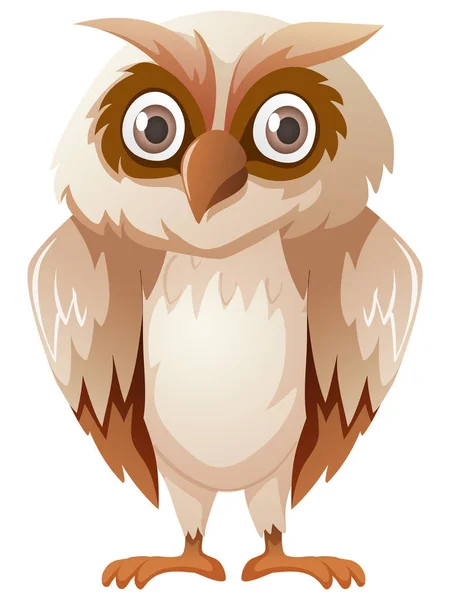 Owl with brown feather — Stock Vector