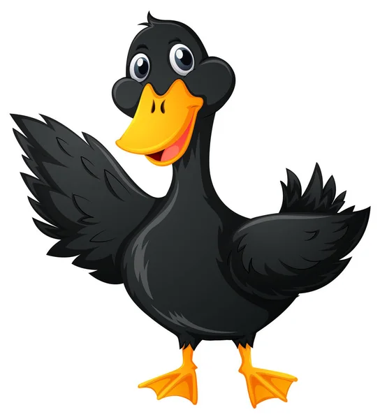 Canard à plumes noires — Image vectorielle