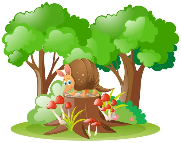Armadillo στέκεται στο κούτσουρο δέντρο — Διανυσματικό Αρχείο