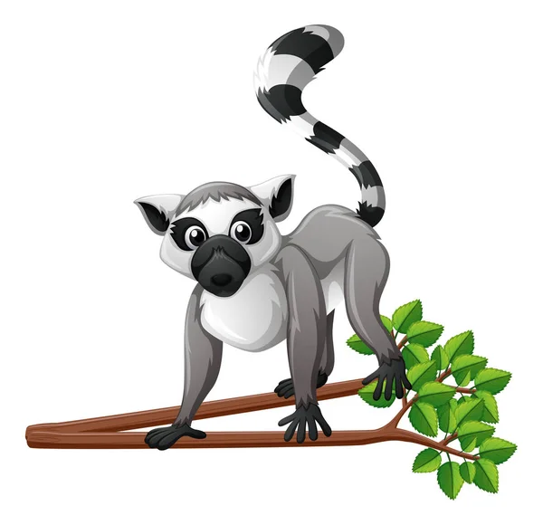 Schattig lemur op de tak — Stockvector