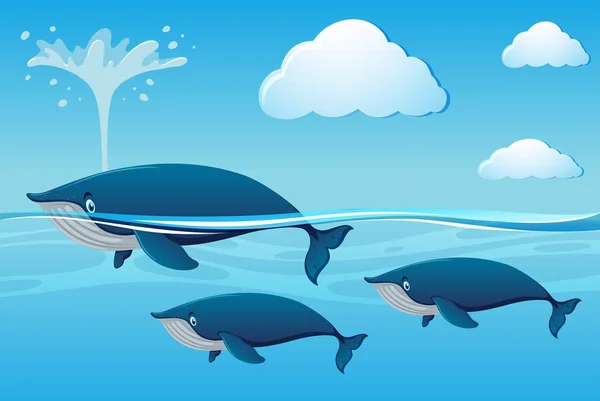 Tre balene che nuotano nell'oceano — Vettoriale Stock