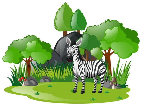 Zebras leben im Wald — Stockvektor