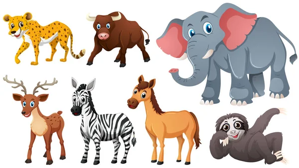 Animales salvajes sobre fondo blanco — Vector de stock