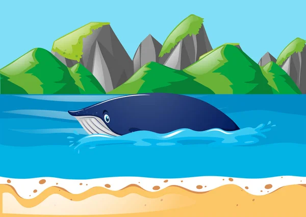 Balena azzurra che nuota nell'oceano — Vettoriale Stock