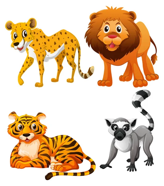 Tigers and lion on white background — Stock Vector