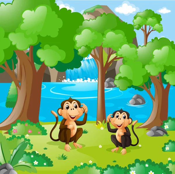 Két majom az erdőben. — Stock Vector