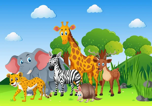 Wild animals in the field — Stock Vector