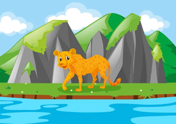 Cheetah caminando a lo largo del río — Vector de stock