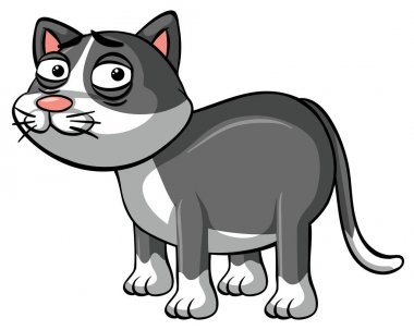 Üzgün yüz ile gri kedi