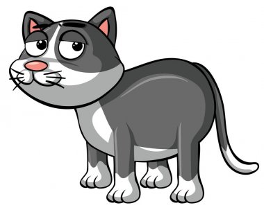 Beyaz arka plan üzerinde uykulu kedi