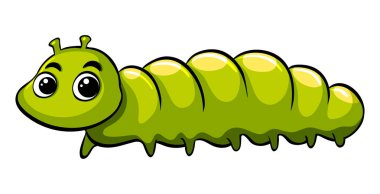 Yeşil tırtıl beyaz arka plan üzerinde tarama