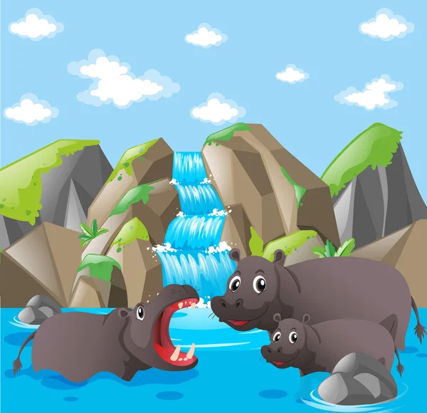 Hippo family at the waterfall