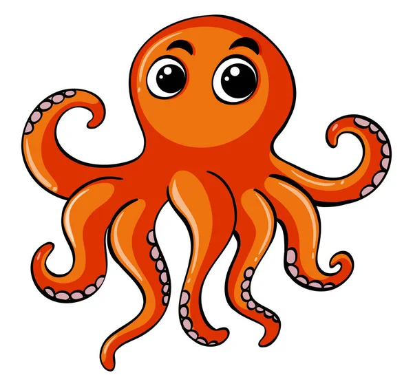 Oranžové chobotnice na bílém pozadí — Stockový vektor