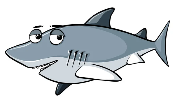 Grauer Hai auf weißem Hintergrund — Stockvektor