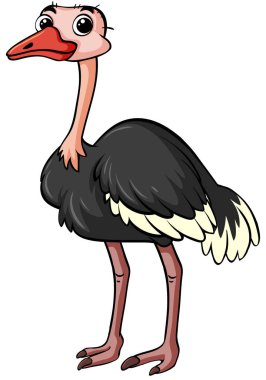 Beyaz arka plan üzerinde devekuşu duran