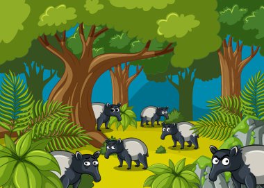Ormanda yaşayan anteaters