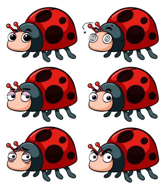 Ladybugs farklı duygular