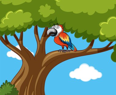 Daldaki papağan kuşu.