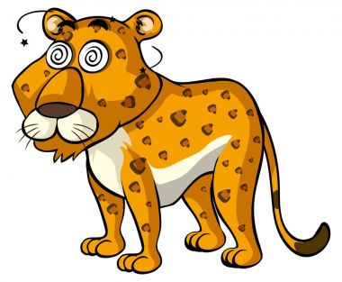 Cheetah şaşkın yüz