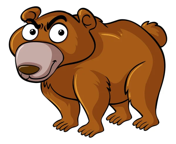 Бурый медведь с серьезным лицом — стоковый вектор