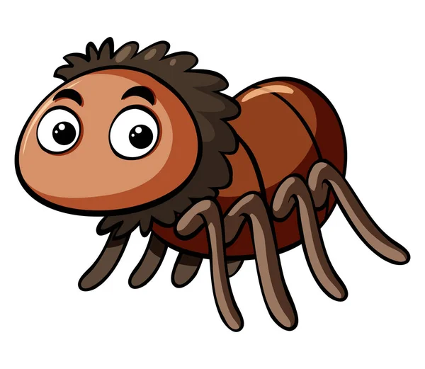 Araignée brune sur fond blanc — Image vectorielle