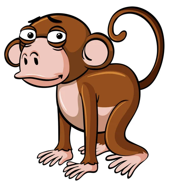Hnědá opice s smutný obličej — Stockový vektor