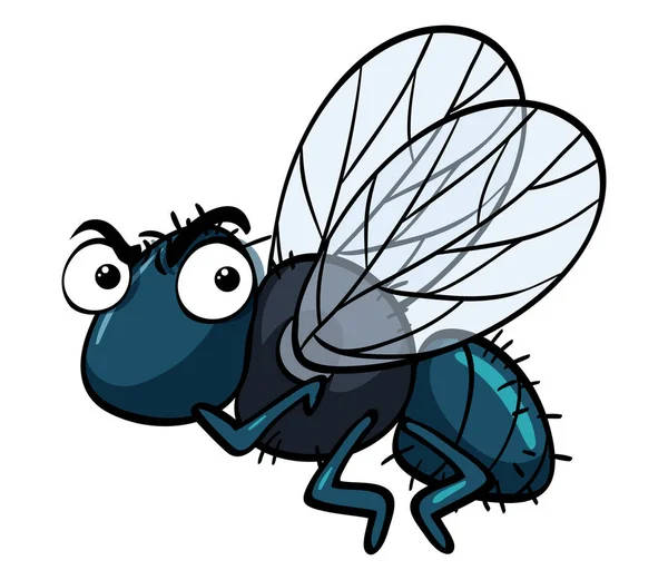 Mosca de la casa con la cara enojada — Vector de stock