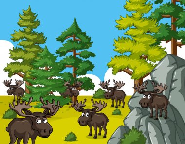Mooses living in forest clipart