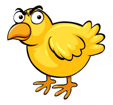 Ciddi bir yüz ile küçük piliç