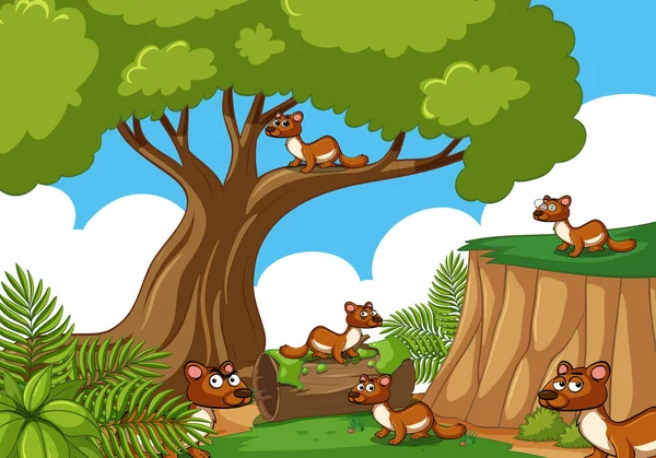 Beaucoup d'écureuils dans la forêt — Image vectorielle