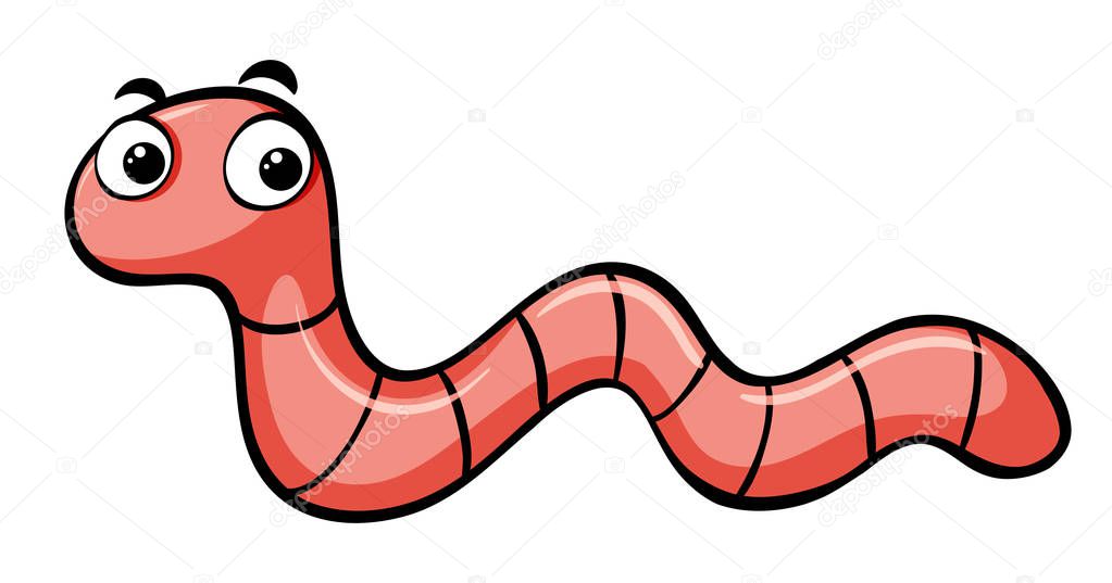Earthworm crawling on white background