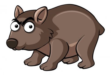 Wombat ciddi bir yüz ile