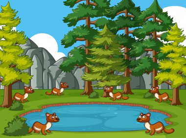 Göl kenarında yaşayan Firavun Fareleri