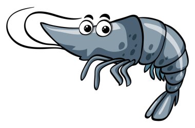 Beyaz arkaplanda karides