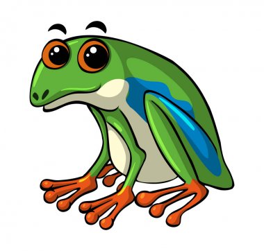 Mutlu yüz ile yeşil kurbağa