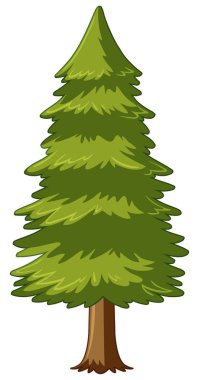 Pine tree on white background clipart