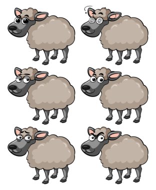 Koyun farklı yüz ifadeleri ile