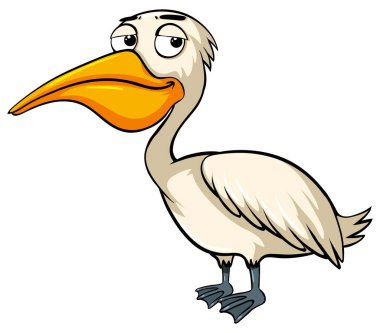 Pelikan kuşu beyaz arka plan üzerinde