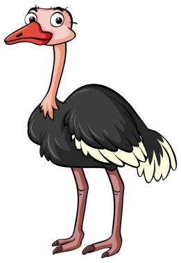 Beyaz arka plan üzerinde devekuşu duran