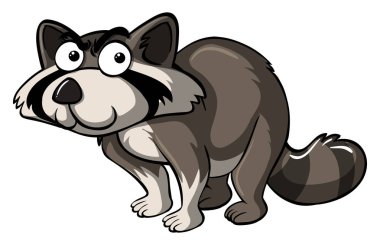 Rakun ciddi bir yüz ile