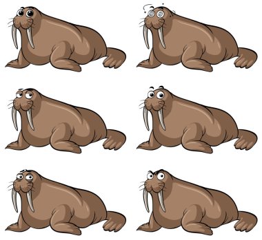 Mors farklı yüz ifadeleri ile