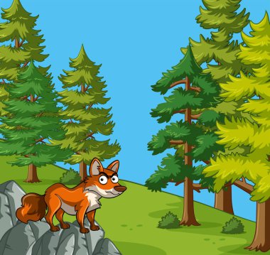 Kayanın üzerinde sahne fox ile standları