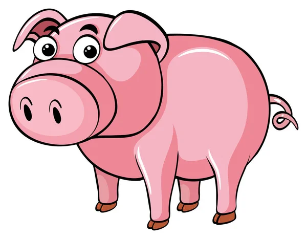 Cochon rose sur fond blanc — Image vectorielle