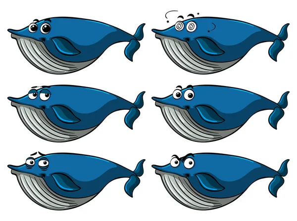 蓝鲸与不同的面部表情 — 图库矢量图片